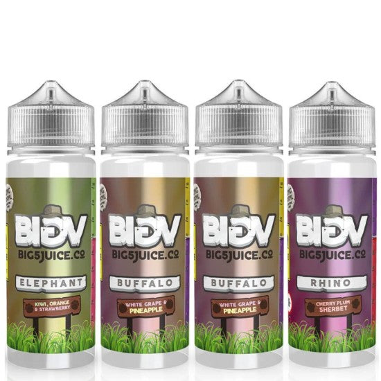 BIG 5 Vape Juice 100ml Shortfill 70/30 VG/PG image 0
