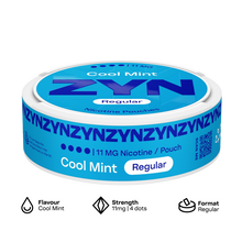 ZYN Nicotine Pouch REGULAR 11mg image 1