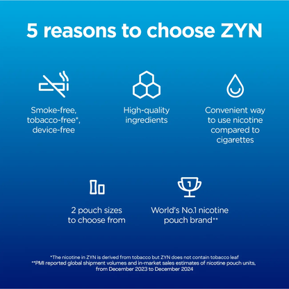 ZYN Nicotine Pouch REGULAR 9mg image 3
