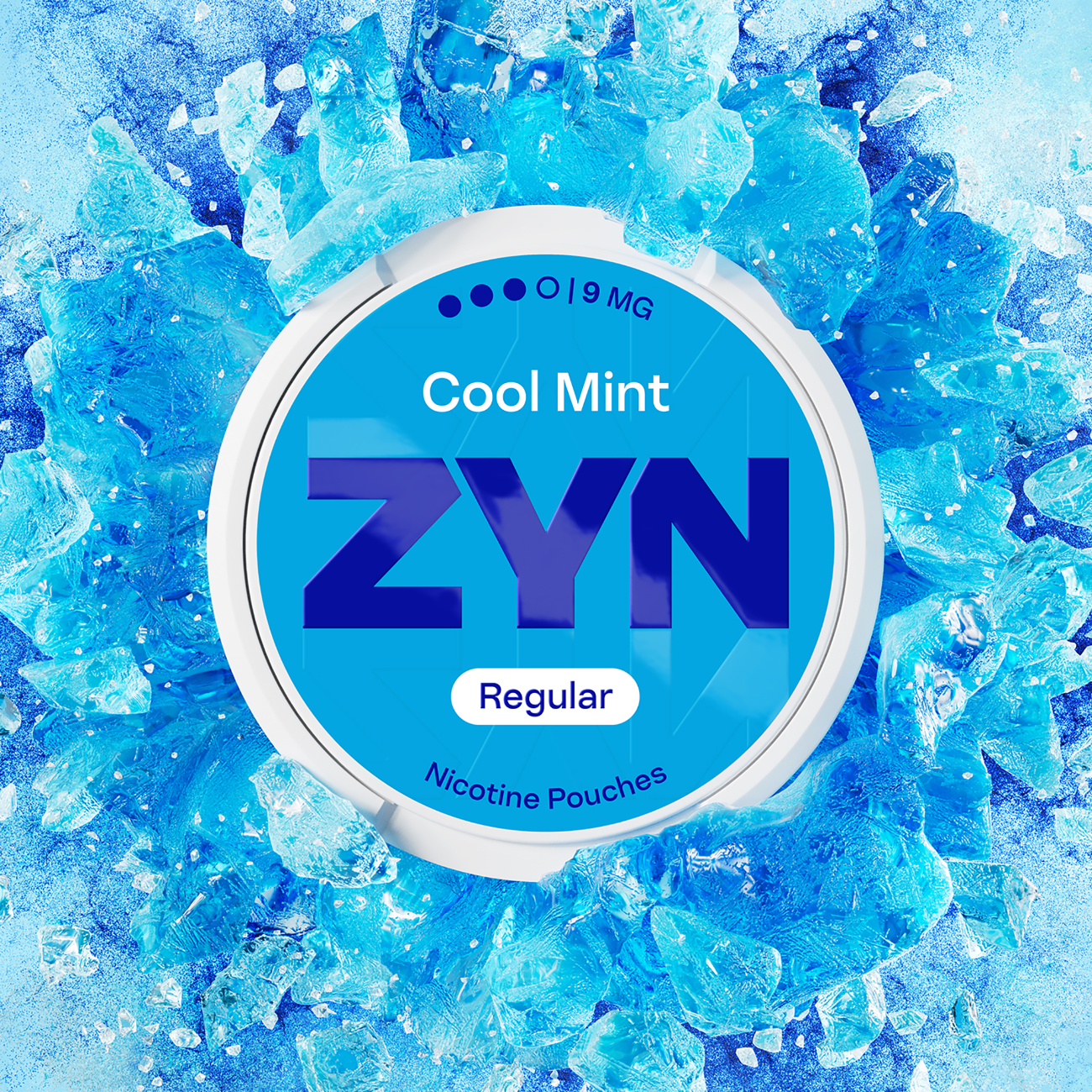 ZYN Nicotine Pouch REGULAR 9mg - Cool Mint image
