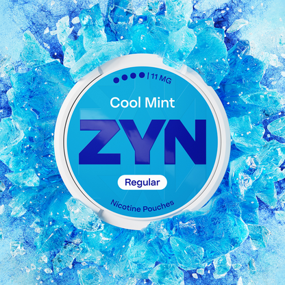 ZYN Nicotine Pouch REGULAR 11mg - Cool Mint image