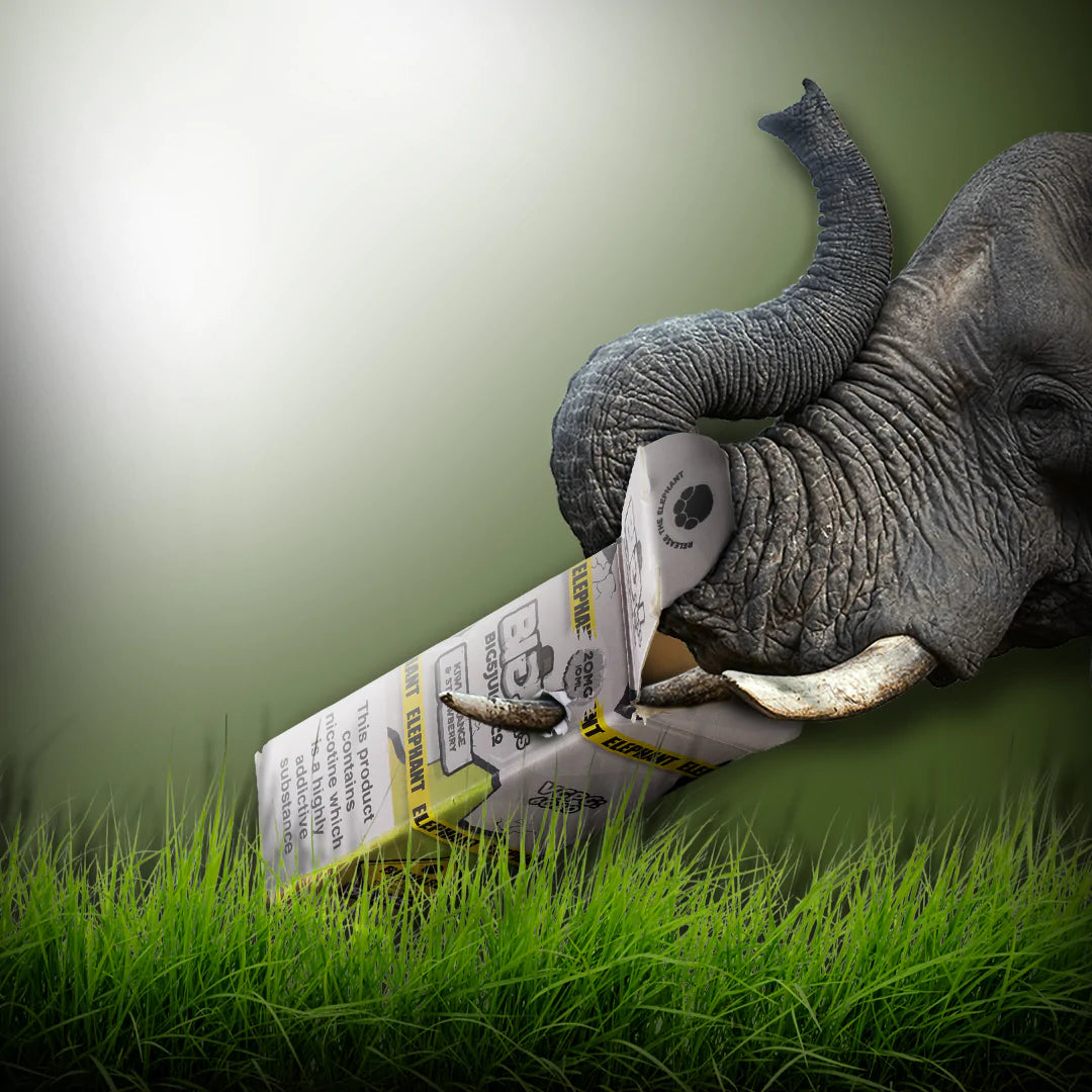 BIG 5 Vape Juice 100ml Shortfill 70/30 VG/PG image 1