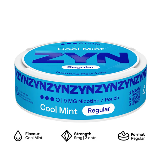 ZYN Nicotine Pouch REGULAR 9mg image 1