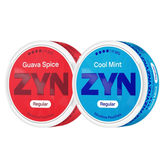 ZYN Nicotine Pouch REGULAR 11mg image 0