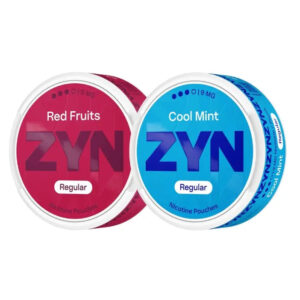 ZYN Nicotine Pouch REGULAR 9mg image 0