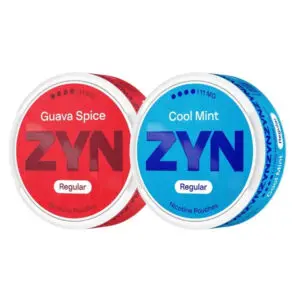 ZYN Nicotine Pouch REGULAR 11mg image 0
